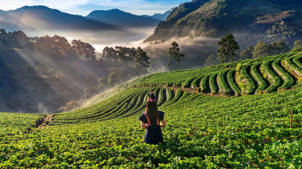 Village Walks and Cultural Tours