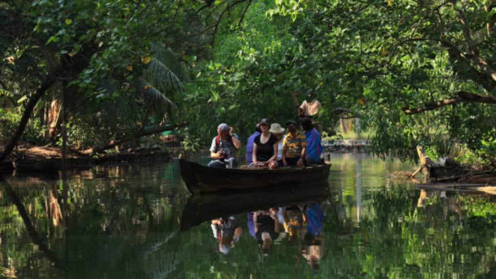 Canoe Rides through Narrow Canals