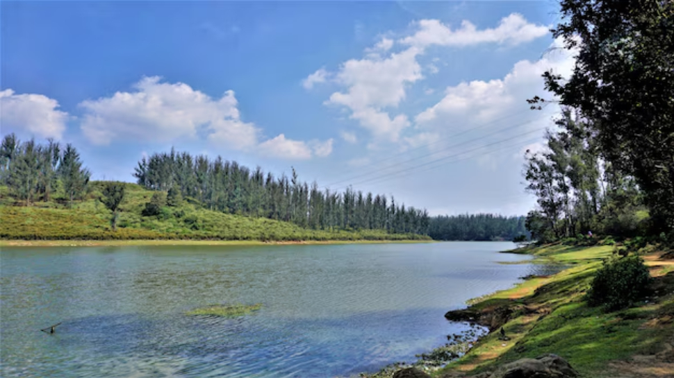 Ooty, Tamil Nadu
