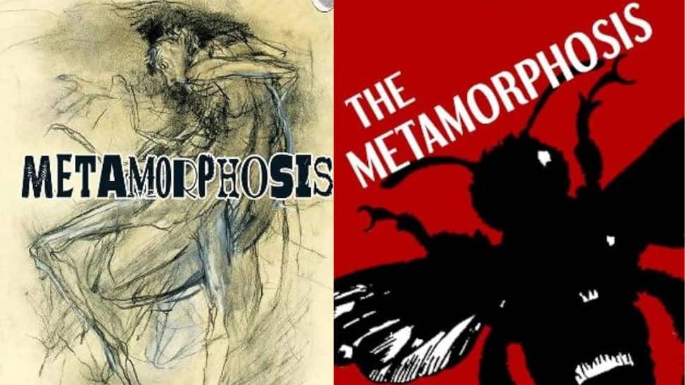 The Metamorphosis