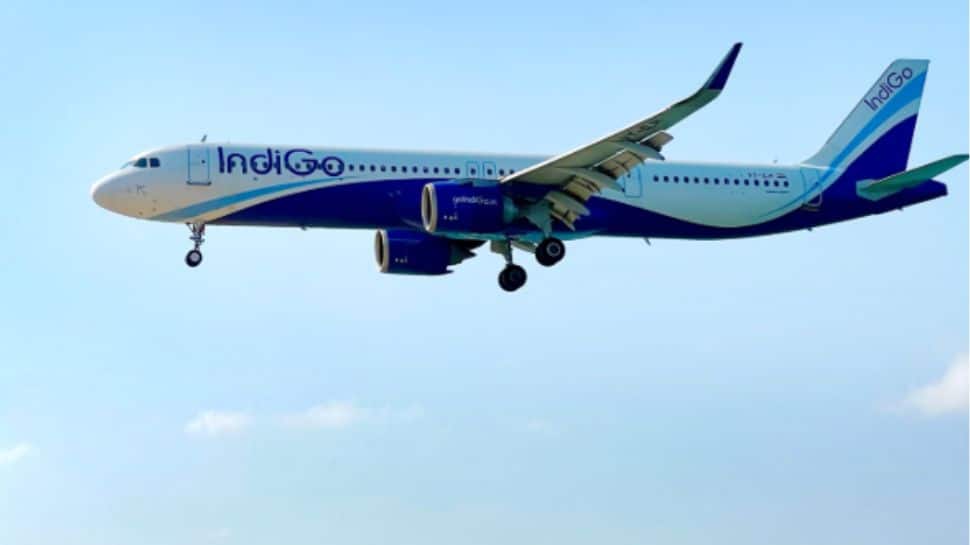 IndiGo Announces Direct Flight From Jalandhar’s Adampur To Mumbai From THIS Date… | Mobility News  zeenews.india.com