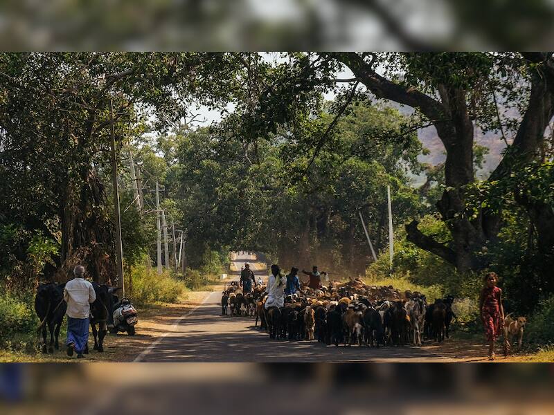 10 Poorest States In India: Not Bihar, UP, or Assam — THIS State Ranks ...