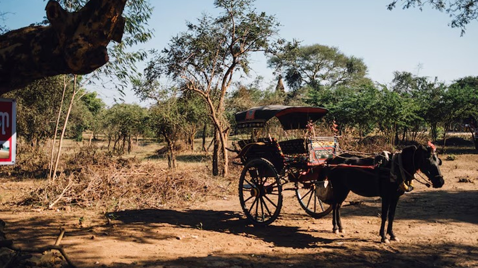 Jharkhand