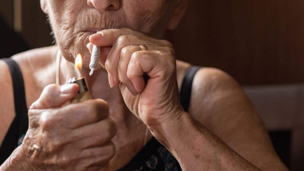 High &amp; Gray: Why America’s Grandparents Are Getting Stoned – Making Doctors Worried