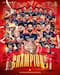 RCB Wins First Ever IPL Title In 18 Years