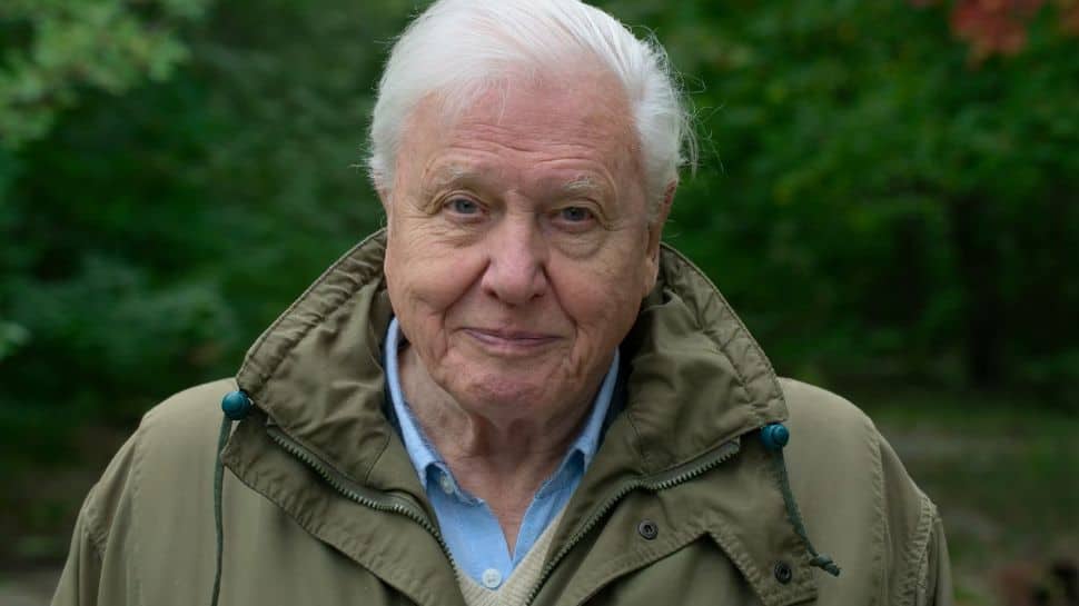 David Attenborough Explores Marine Secrets, Warns In World Oceans Day Documentary