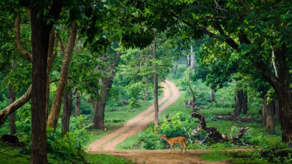 Kabini – A Wildlife Lover’s Paradise