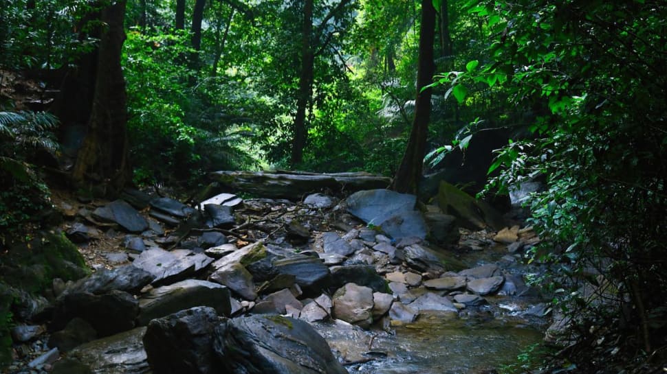 Agumbe – The Cherrapunji of South India