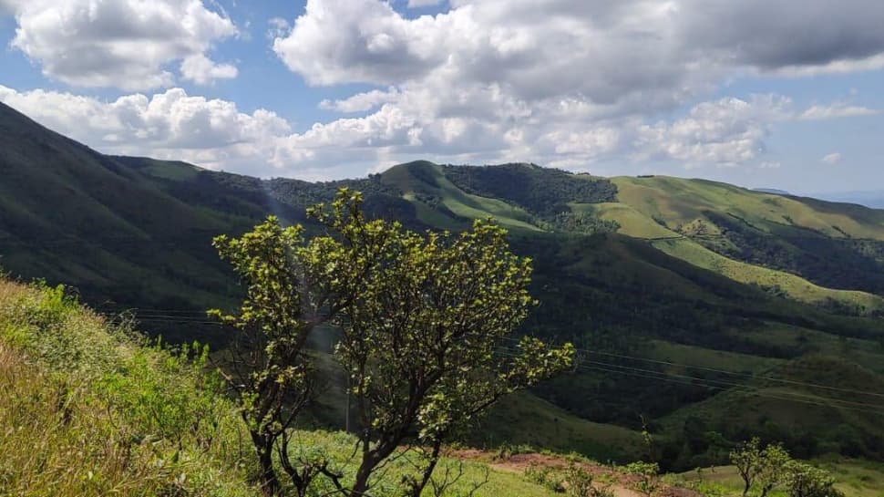 Chikmagalur – Coffee Land of Karnataka