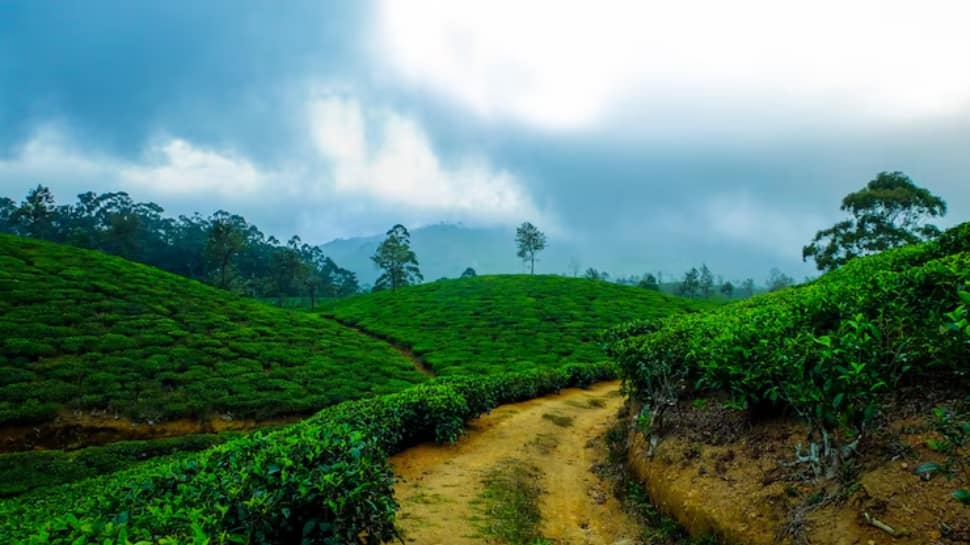 Coorg – The Scotland of India