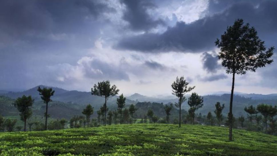 Valparai, Tamil Nadu