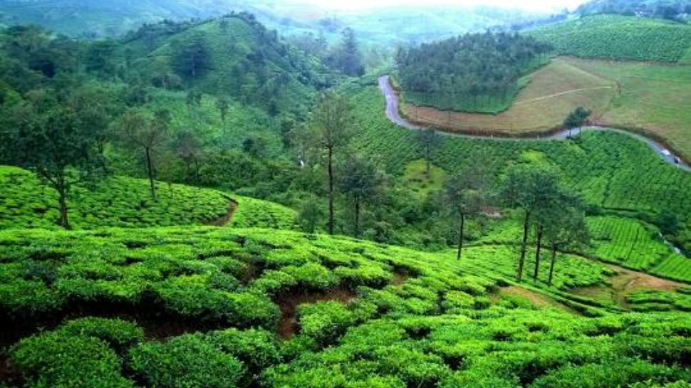 Vagamon, Kerala