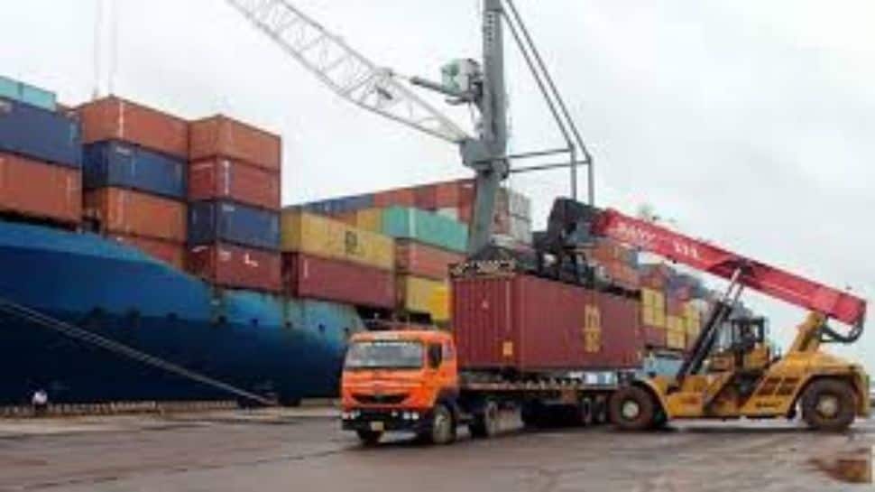 Govt Imposes Anti-Dumping Duties On Vitamin A, Rubber Chemical Imports From China, Japan, EU