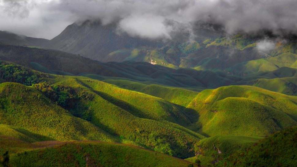 Dzükou Valley, Nagaland-Manipur Border