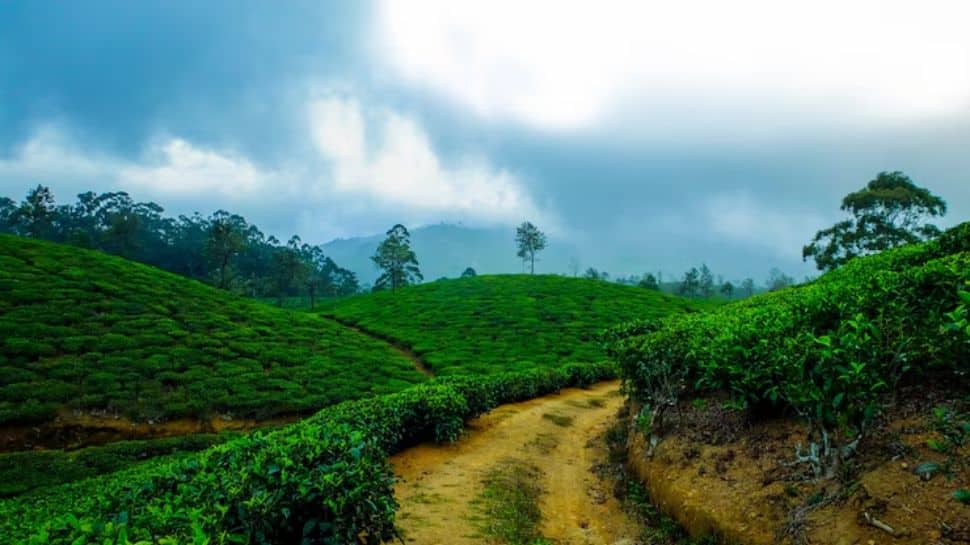 Coorg, Karnataka – Coffee Trails and Forest Treks