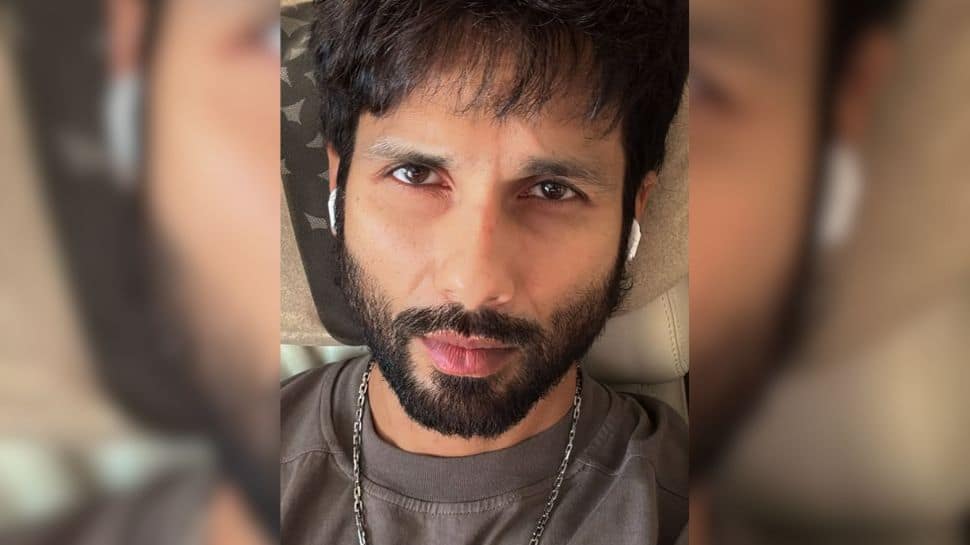 Shahid Kapoor Mischievously Labels Wife Mira, Brother Ishaan As ‘Fans’ Shahid Kapoor Mischievously Labels Wife Mira, Brother Ishaan As ‘Fans’