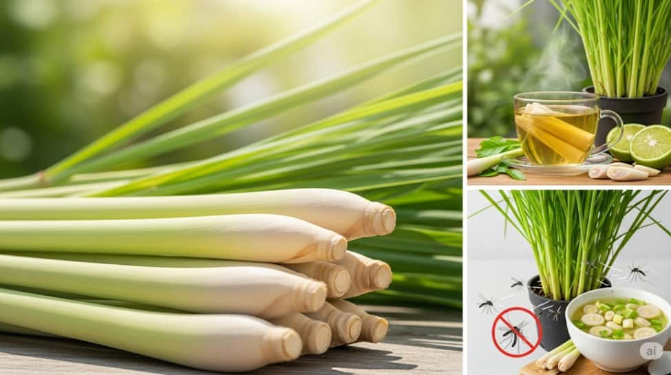 4. Lemongrass: