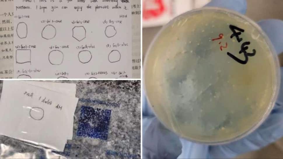 Third Chinese Scientist Arrested In Days: What's Behind The US Biological Smuggling Crackdown? Third Chinese Scientist Arrested In Days: What's Behind The US Biological Smuggling Crackdown?