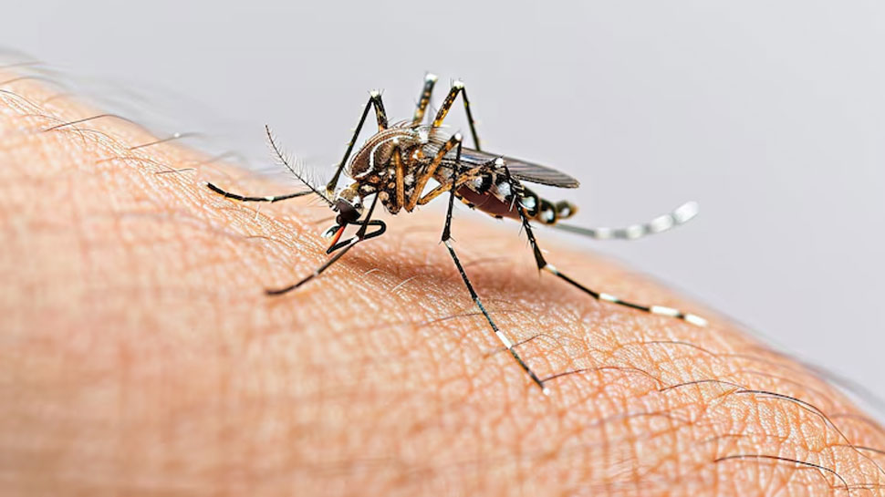 Mosquitos (Culicidae family) 725,000 – 1,000,000 deaths per year