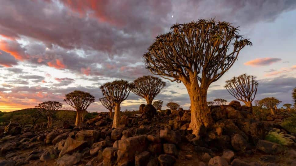 South Africa