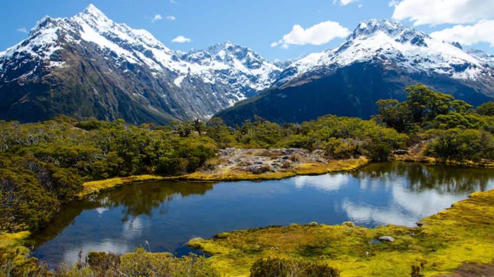 New Zealand