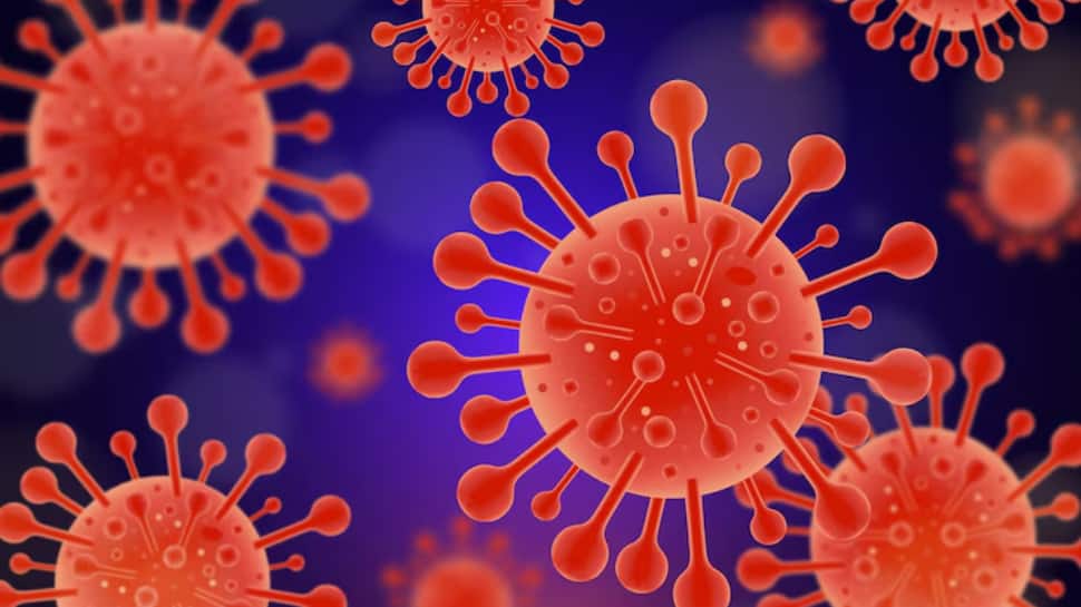 Study Finds Covid-19 Virus Can Cause Immune System To Attack Healthy Cells Amid Spread Of New Variant