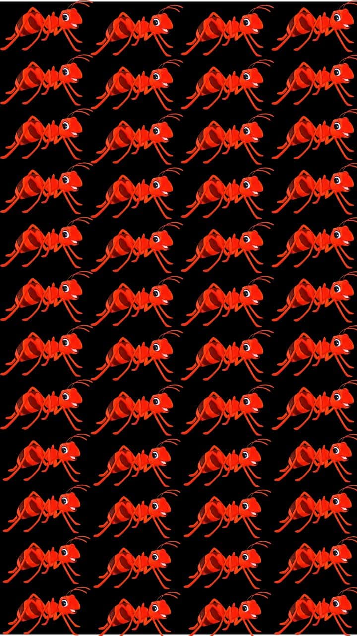 Optical Illusion Challenge: Spot the Ant That’s Hiding Something