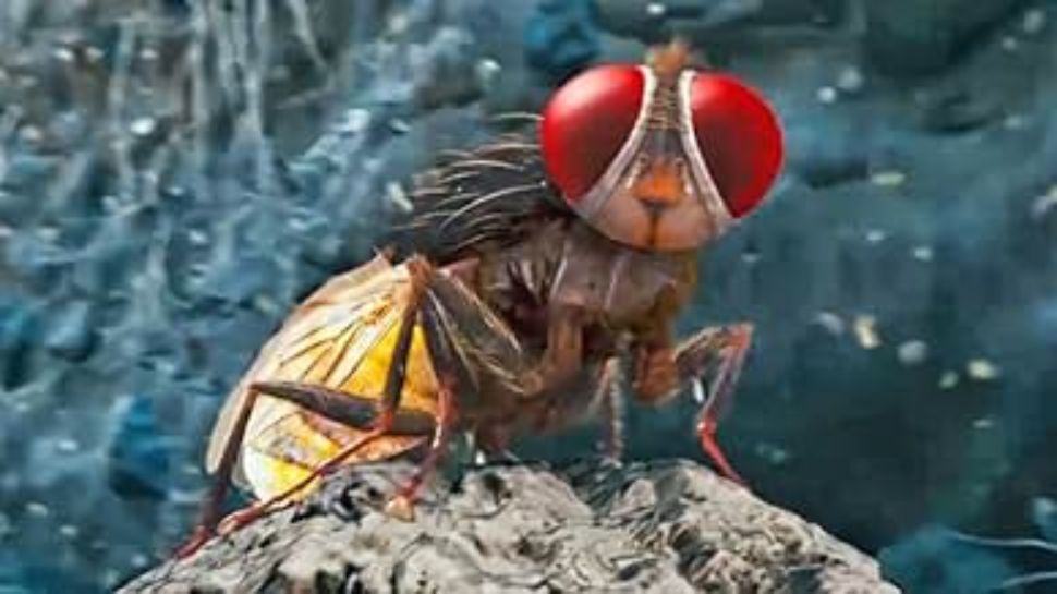 Makkhi movie