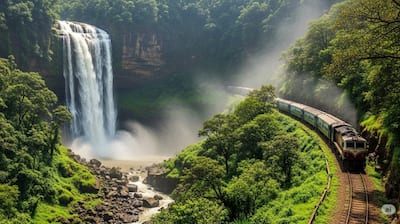 1.Dudhsagar Falls, Goa: 