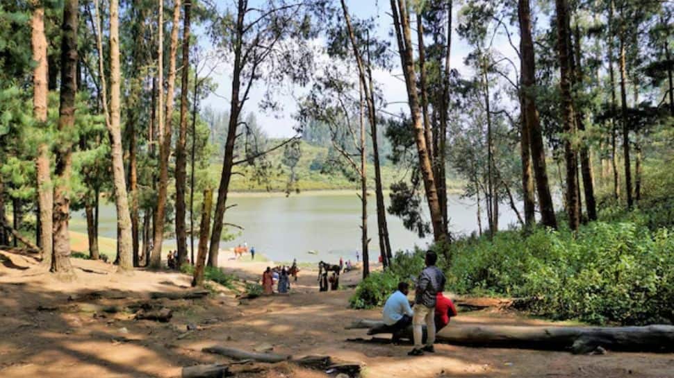 Ooty, Tamil Nadu