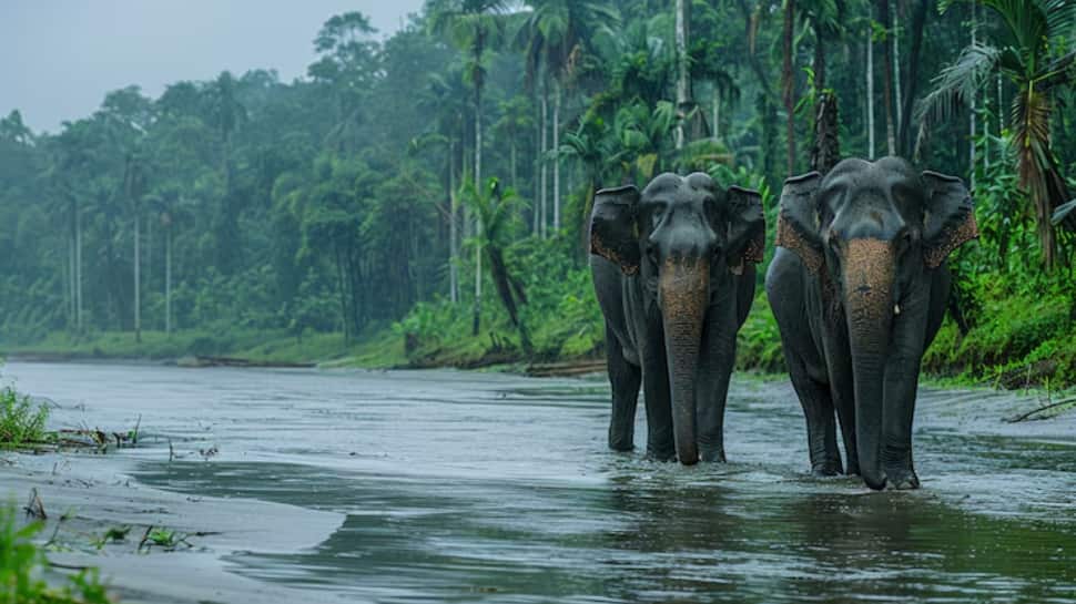 Agumbe, Karnataka