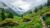 Chopta, Uttarakhand