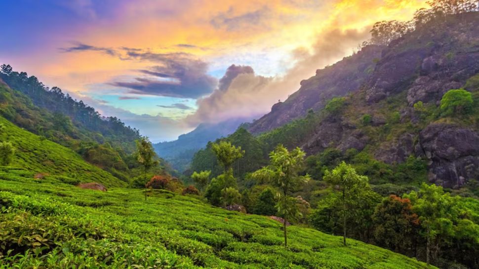 Munnar, Kerala – Rock Climbing & Nature Trails