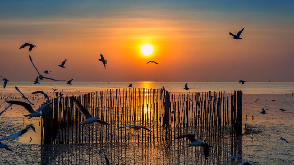 Alappuzha Beach, Kerala
