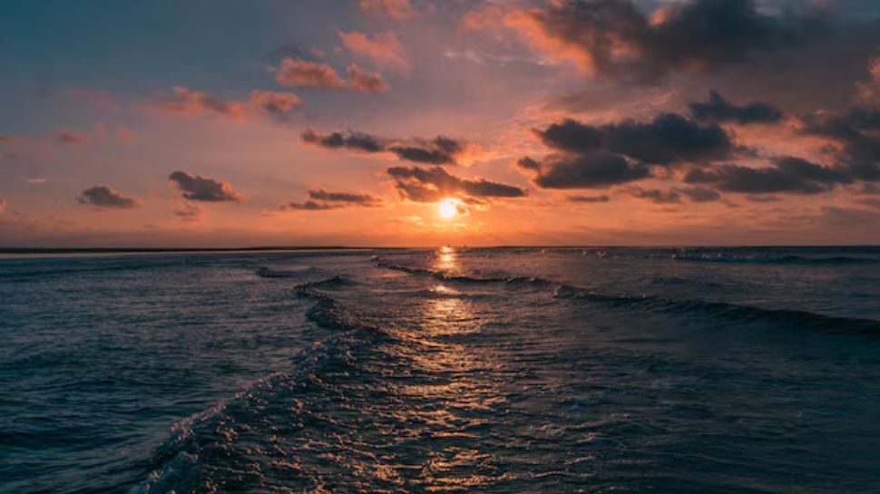 Baga Beach, Goa