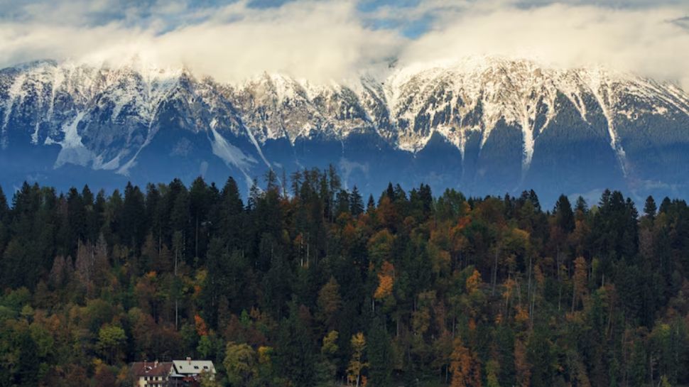 Shimla, Himachal Pradesh