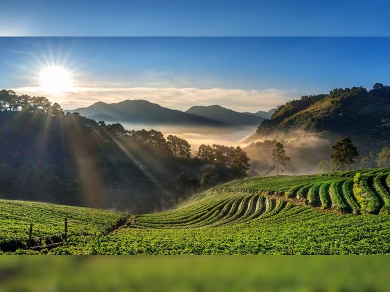 Ooty, Tamil Nadu
