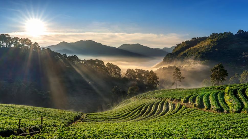 Ooty, Tamil Nadu