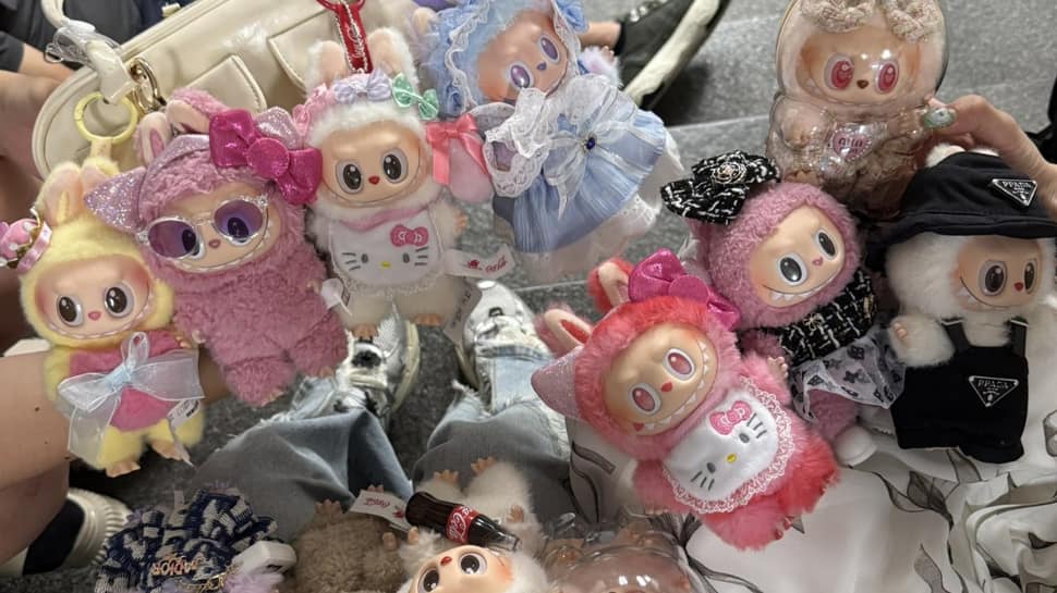 Unique Labubu Meet Labubu, Sensational Doll That Has Sent Internet Into Frenzy For ...