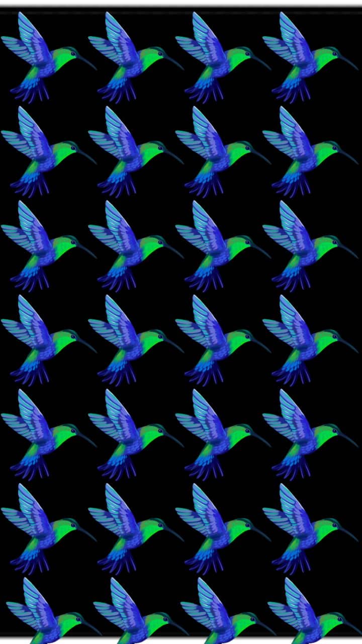 Optical Challenge: What’s Different In These Flying Birds?