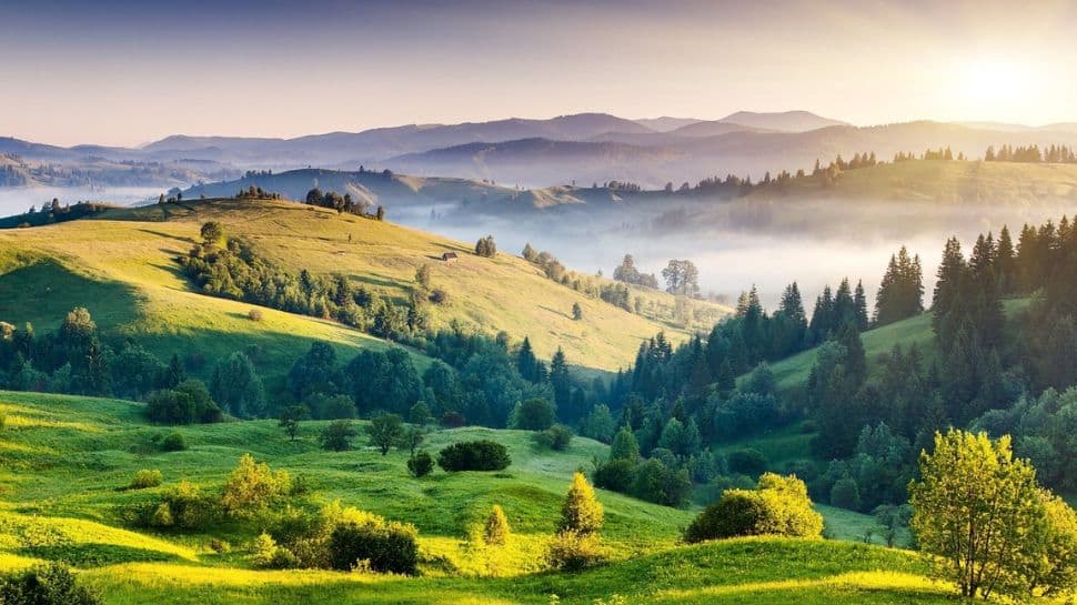 Kodaikanal, Tamil Nadu – Monsoon in the Hills