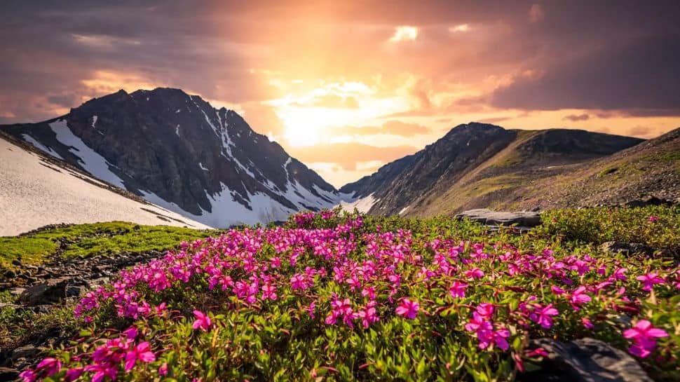 Valley of Flowers, Uttarakhand – A Blooming Paradise