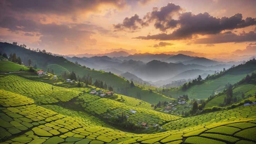 Munnar, Kerala – Misty Hills & Tea Gardens