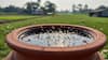 Don’t Ignore Mosquito Prevention