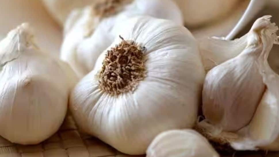 Garlic Cultivation In Himachal Expanded To 4,000 Hectares: Experts