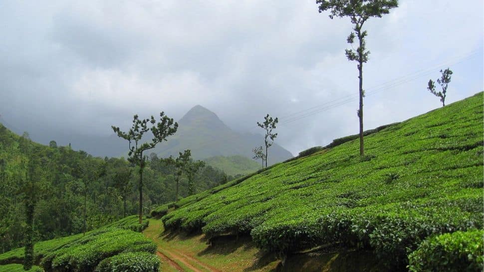 Kalpetta, Kerala
