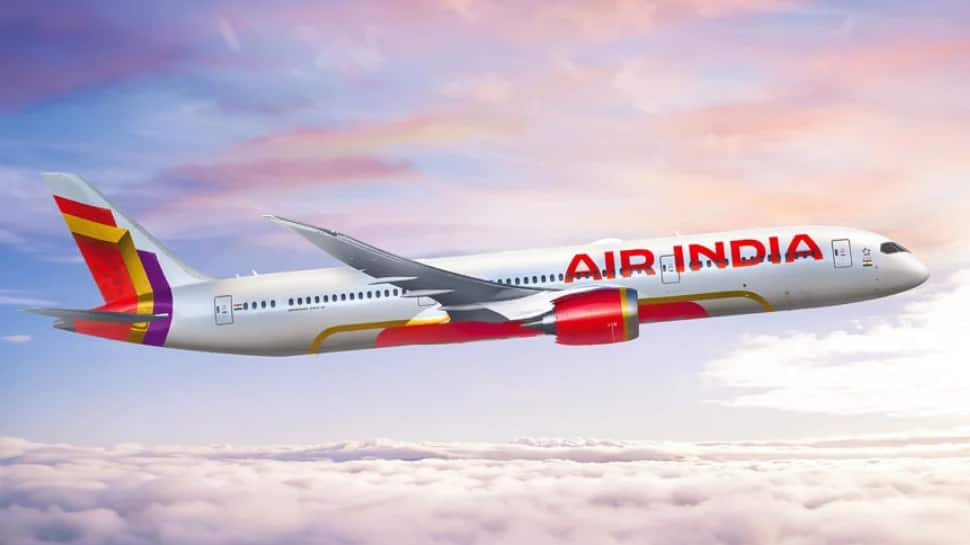 Air India Cabin Crew Sacking: Aviation Industry Employees Body Demands CBI Probe | Mobility News  zeenews.india.com