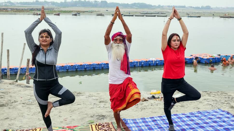 International Yoga Day 2025, yoga for fatty liver, yoga for obesity, best yoga poses to lose weight,