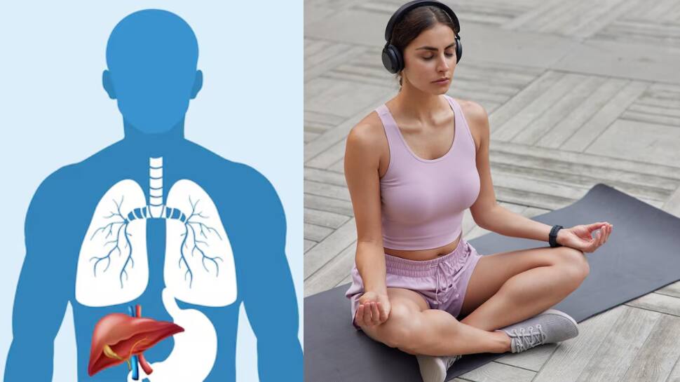 International Yoga Day 2025, yoga for fatty liver, yoga for obesity, best yoga poses to lose weight,