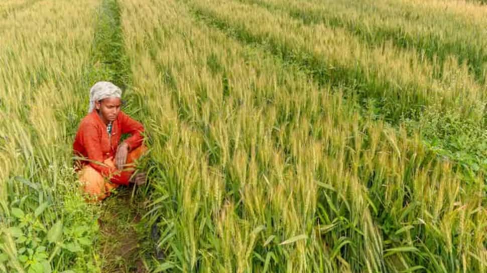PM-KISAN 20th Installment 